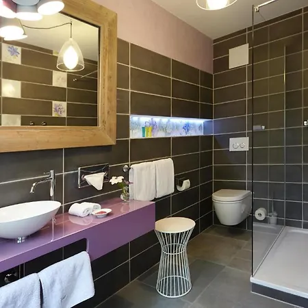 Designhotel Faehrhaus 4* Meißen